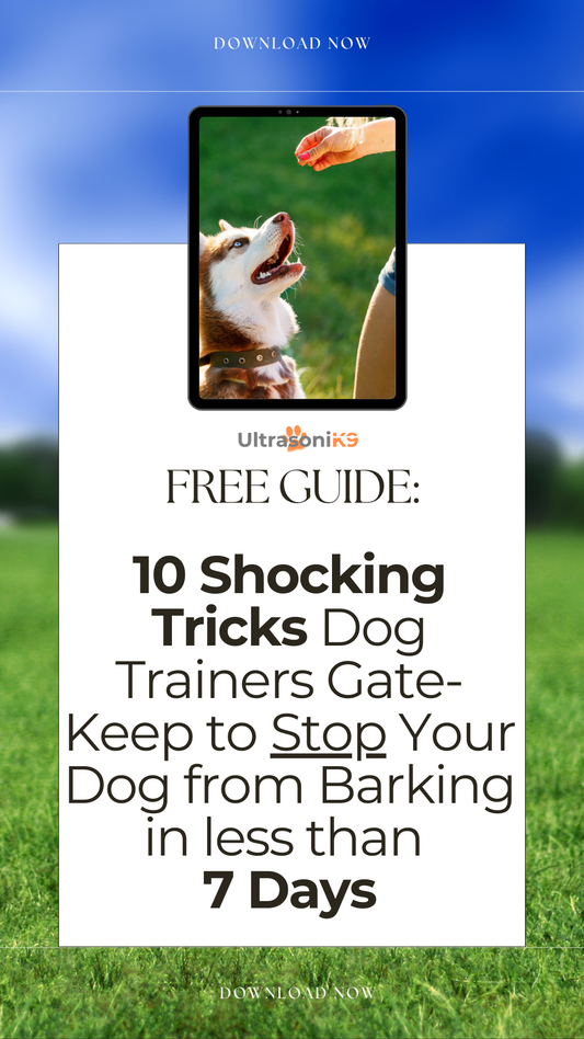 10 Shocking Tricks Dog Trainers Gate-Keep to Stop Your Dog from Barking in less than 7 Days